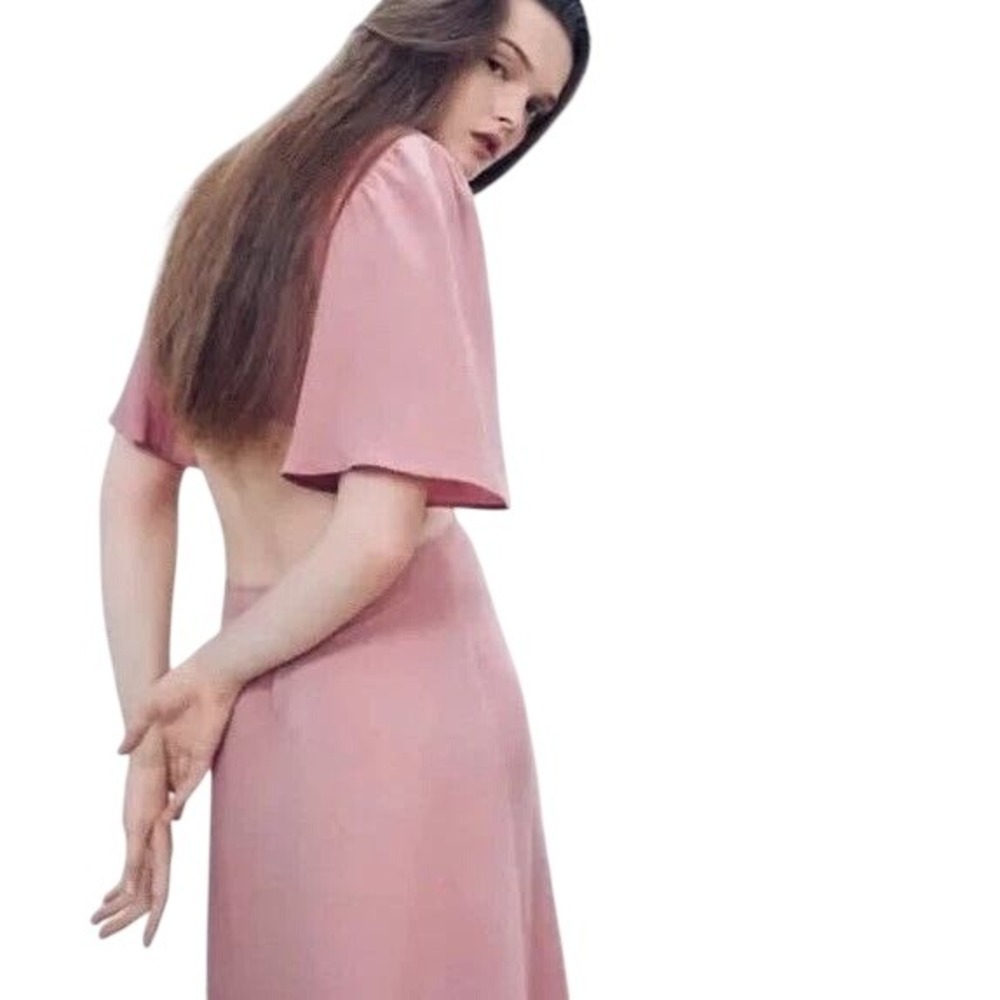 Zara Pink Cut‎ Out Tie Front Flutter Sleeve Midi Dress Women Size Small - Picture 2 of 9